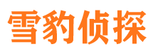 休宁外遇调查取证